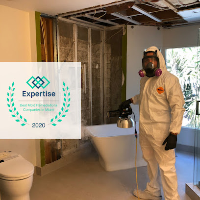 Instacure Mold Remediation