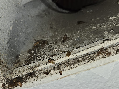 L & W Duct Care